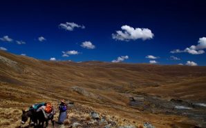 Should Bolivia condemn extractivism?
