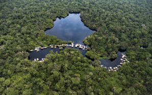 A ticking carbon bomb in the Congo Basin